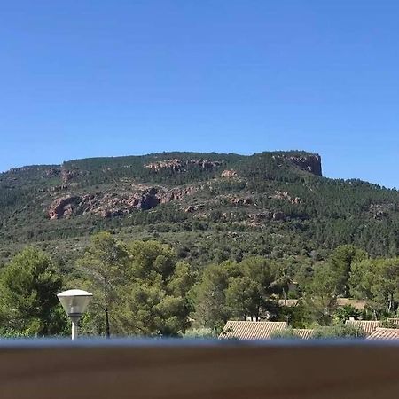Au Pied Des Gorges Du Blavet Et A 20Min Des Plages Roquebrune-sur-Argens Exterior foto
